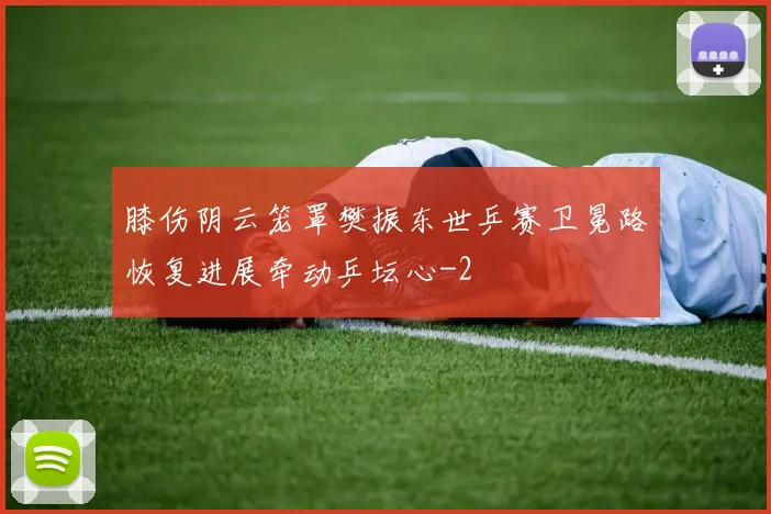 膝伤阴云笼罩樊振东世乒赛卫冕路恢复进展牵动乒坛心