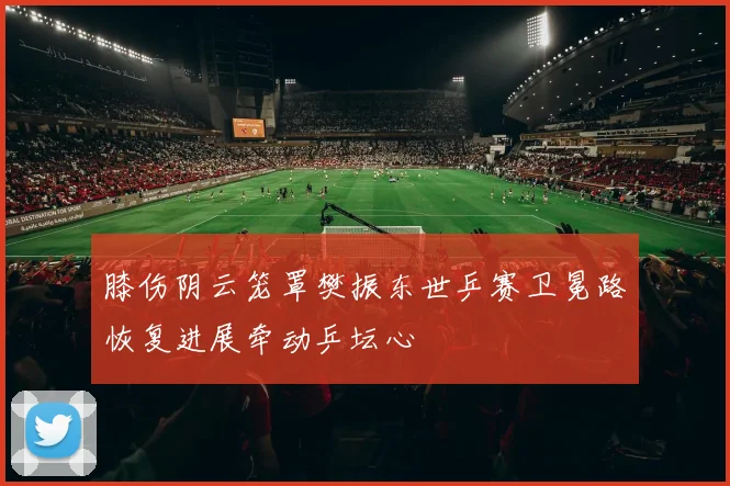 膝伤阴云笼罩樊振东世乒赛卫冕路恢复进展牵动乒坛心